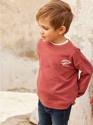 Boys-Cardigans, Jumpers & Sweatshirts-Sweatshirt with Chest Motif for Boys