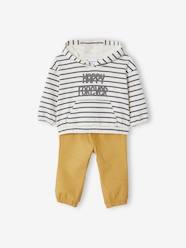 Baby-Outfits-Hooded Sweatshirt & Trousers Combo for Babies