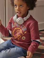 Boys-Cardigans, Jumpers & Sweatshirts-Harry Potter® Sweatshirt for Boys