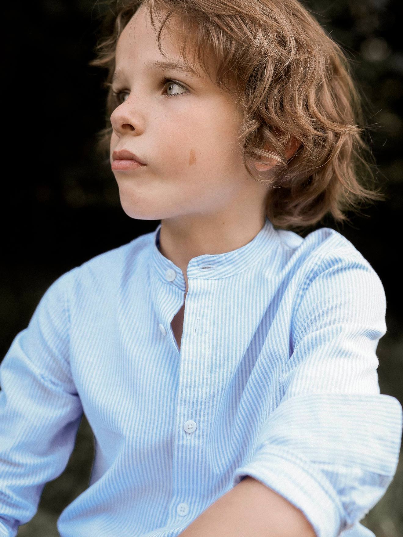 Shirt - Formalwear and Wedding Collection stripe