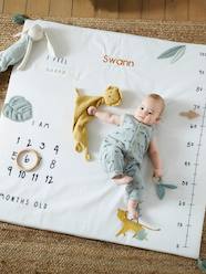 Bedding & Decor-Decoration-Floor Cushions & Cushions-Baby Milestones Photo Mat, Hanoi