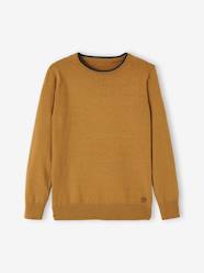 Boys-Cardigans, Jumpers & Sweatshirts-Jumpers-Fine Knit Colour Jumper for Boys