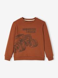 Boys-Cardigans, Jumpers & Sweatshirts-Sweatshirt with Large Graphic Motif for Boys