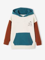 Boys-Cardigans, Jumpers & Sweatshirts-Sports Hoodie with Colourblock Effect, for Boys