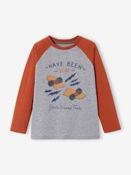 Boys-Tops-T-Shirts-Top with Graphic Motif & Raglan Sleeves for Boys, Oeko-Tex®