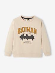 Boys-Cardigans, Jumpers & Sweatshirts-Batman Sweatshirt for Boys, by DC Comics®