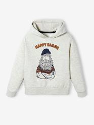 Boys-Cardigans, Jumpers & Sweatshirts-Hoodie with Print on the Front, for Boys