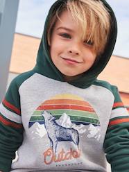Boys-Cardigans, Jumpers & Sweatshirts-Hoodie with Graphic Motif & Raglan Sleeves for Boys