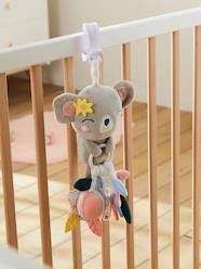 -Multisensory Toy with Clip, Koala