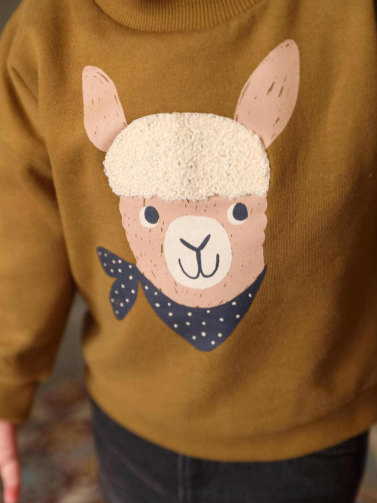 Llama sweatshirts 2025