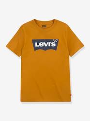 Boys-Batwing T-shirt by Levi's®