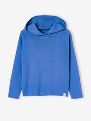 Boys-Cardigans, Jumpers & Sweatshirts-Jumpers-Hooded Jumper for Boys