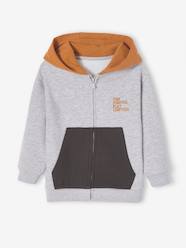 Boys-Sportswear-Colourblock Sports Jacket with Hood for Boys