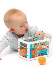 Toys-Baby & Pre-School Toys-Early Learning & Sensory Toys-Manipulation Box, LUDI