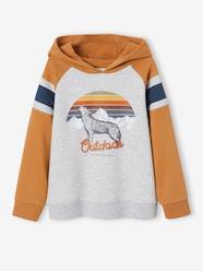 Boys-Cardigans, Jumpers & Sweatshirts-Hoodie with Graphic Motif & Raglan Sleeves, for Boys