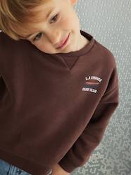 Boys-Sweatshirt with Fun Motif on the Back, for Boys