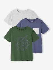 Boys-Pack of 3 Assorted T-Shirts for Boys