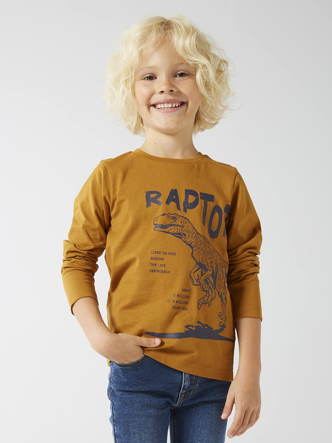 Basics Long Sleeve Top with Fun or Graphic Motif for Boys ochre