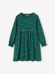 Girls-Occasion Wear Dress with Iridescent Stars Motifs for Girls