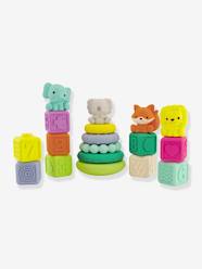 Box of 20 sensory pieces, Balls, Blocks & Buddies by INFANTINO