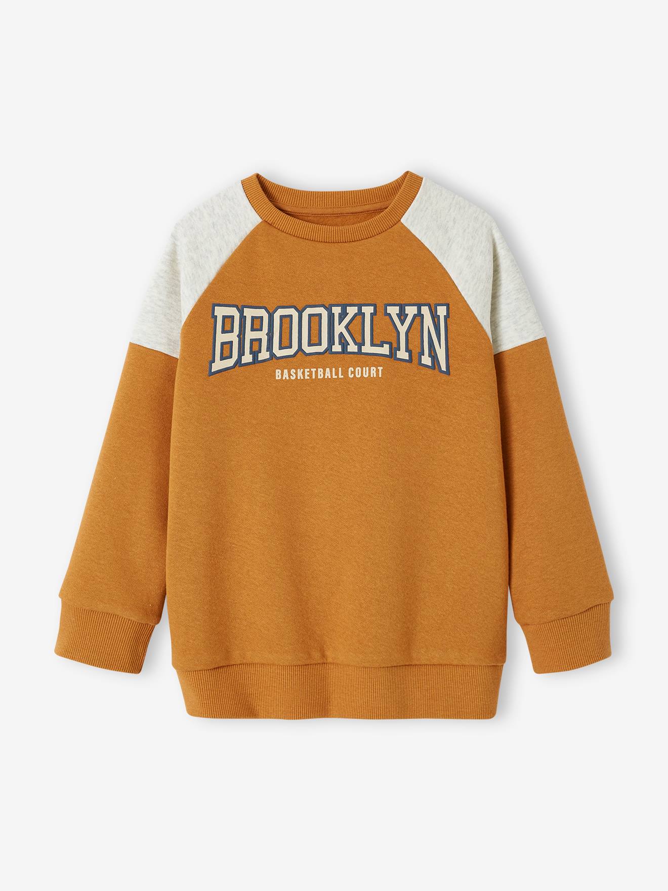 Team Brooklyn Colourblock Sports Sweatshirt for Boys pecan nut