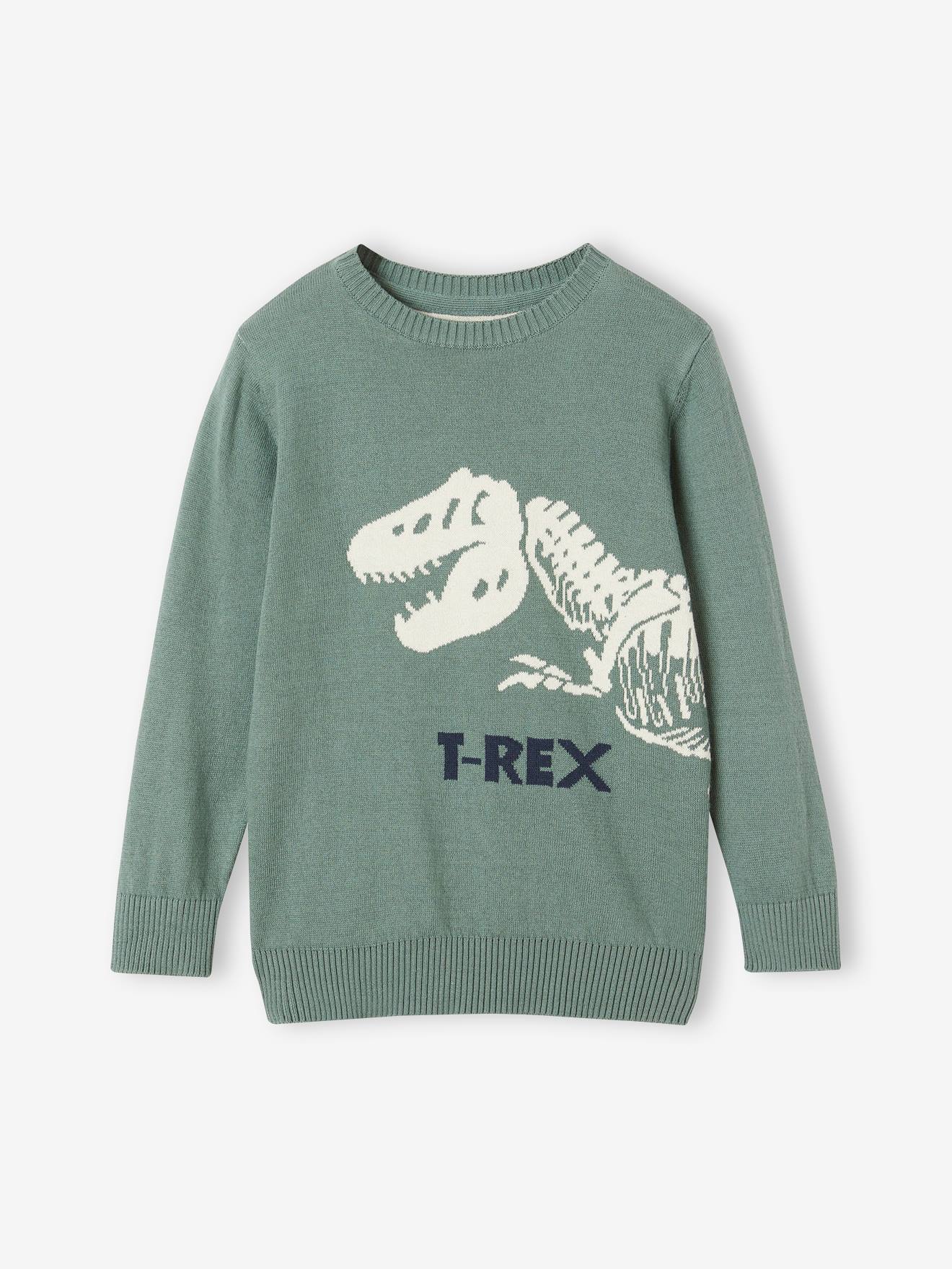 Boys Long Sleeve Embroidered Dino Fleece Knit Hoodie - Dino