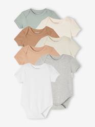 Pack of 7 Short Sleeve Bodysuits, Cutaway Shoulders, BASICS for Babies