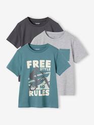 Boys-Pack of 3 Assorted T-Shirts for Boys