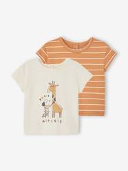 Baby-T-shirts & Roll Neck T-Shirts-Pack of 2 Basic T-Shirts for Babies