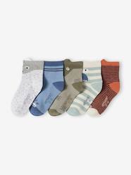 Boys-Underwear-Pack of 5 Pairs of Animals Socks for Boys