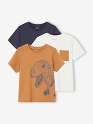 Boys-Pack of 3 Assorted T-Shirts for Boys