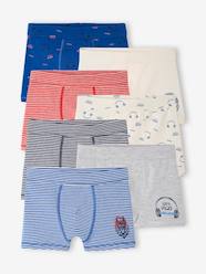 Boys-Underwear-Pack of 7 "Bear" Stretch Boxers in Organic Cotton for Boys