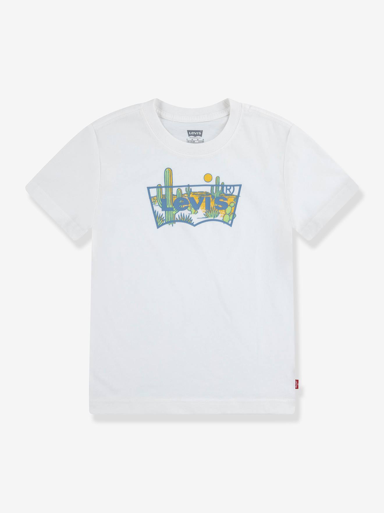 Printed T-Shirt by Levi’s(r) for Boys grey blue