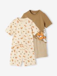 Boys-Pack of 2 Tiger Pyjamas for Boys