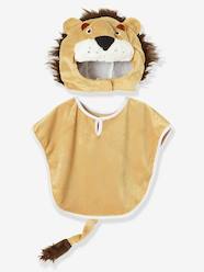 Toys-Children's Lion Costume