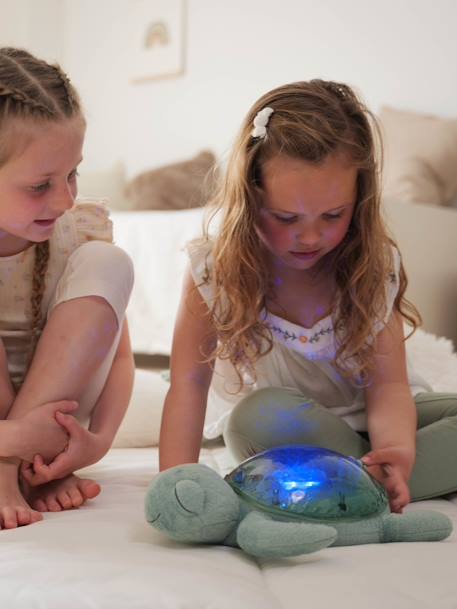 Tranquil Turtle Rechargeable Night Light, by CLOUD B blue+blush+green+violet 