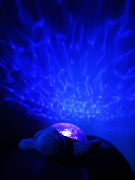 Tranquil Turtle Rechargeable Night Light, by CLOUD B blue+blush+green+violet 