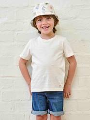 Boys-Basics Bermuda Shorts in Denim for Boys