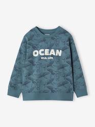 Boys-Printed Sweatshirt-Style Top for Boys