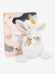 Toys-Baby & Pre-School Toys-Happy 17 cm Flat Comforter - DOUDOU ET COMPAGNIE