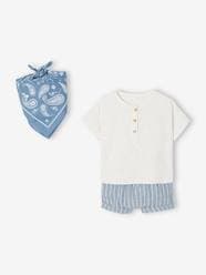 Baby-Shirt + Shorts + Bandana Ensemble for Babies