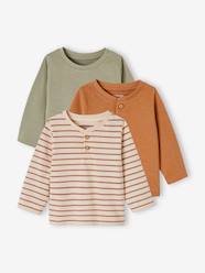 Baby-T-shirts & Roll Neck T-Shirts-Pack of 3 Basics Tops in Organic Cotton for Babies