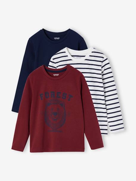 Pack of 3 Assorted Long Sleeve Tops for Boys aqua green+bordeaux red+marl white+white+yellow 