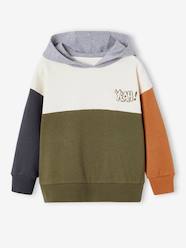 Boys-Colourblock Hoodie for Boys, Basics