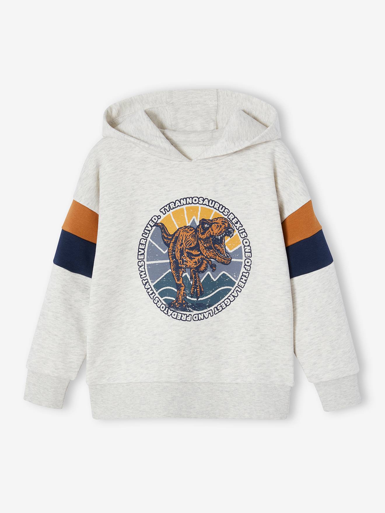 Hoodie with Graphic Motif & Colourblock Sleeves