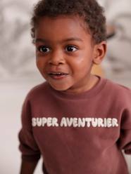 Baby-Sweatshirt for Baby Boys