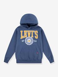 Boys-LVB Sporty Hoodie LEVI'S KID'S