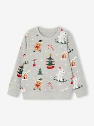 Boys-Cardigans, Jumpers & Sweatshirts-Christmas Special Sweatshirt with Fun Motifs for Boys