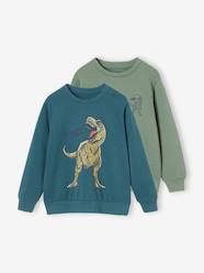 Boys-Pack of 2 BMX Sweatshirts for Boys