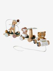 Toys-Baby & Pre-School Toys-Early Learning & Sensory Toys-Activity Train in FSC® Wood - Tanzania